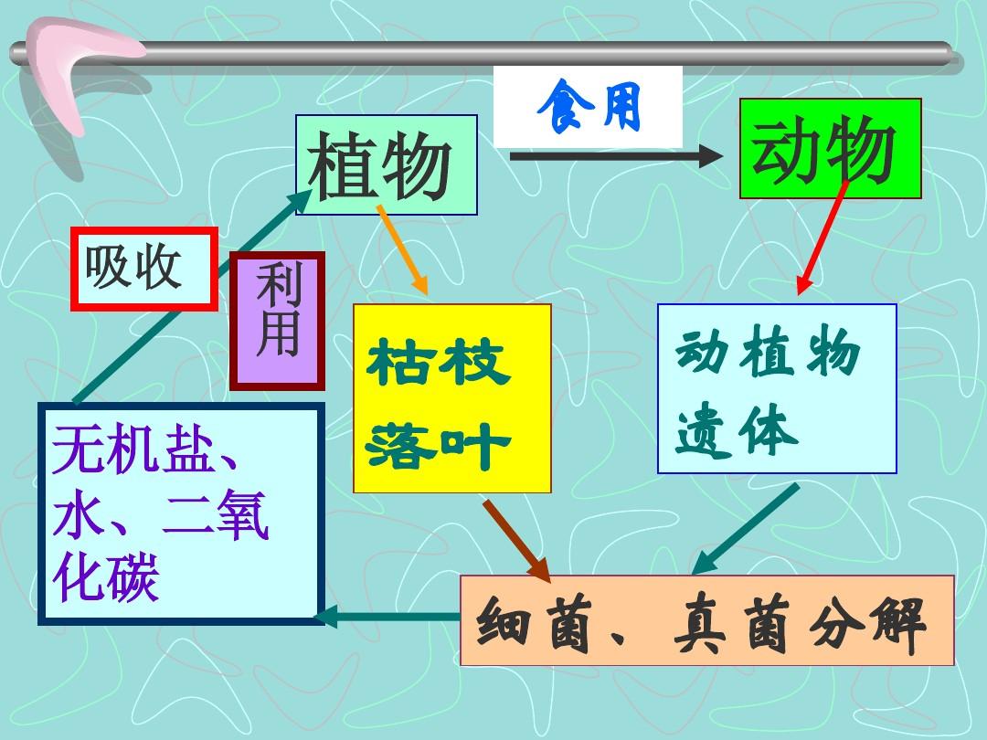 真菌树世界如何繁殖_真菌世界如何种树_真菌世界防御树怎么打