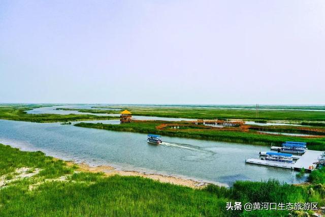 静静辽河的作者是谁_静静的辽河1_静静辽河童年