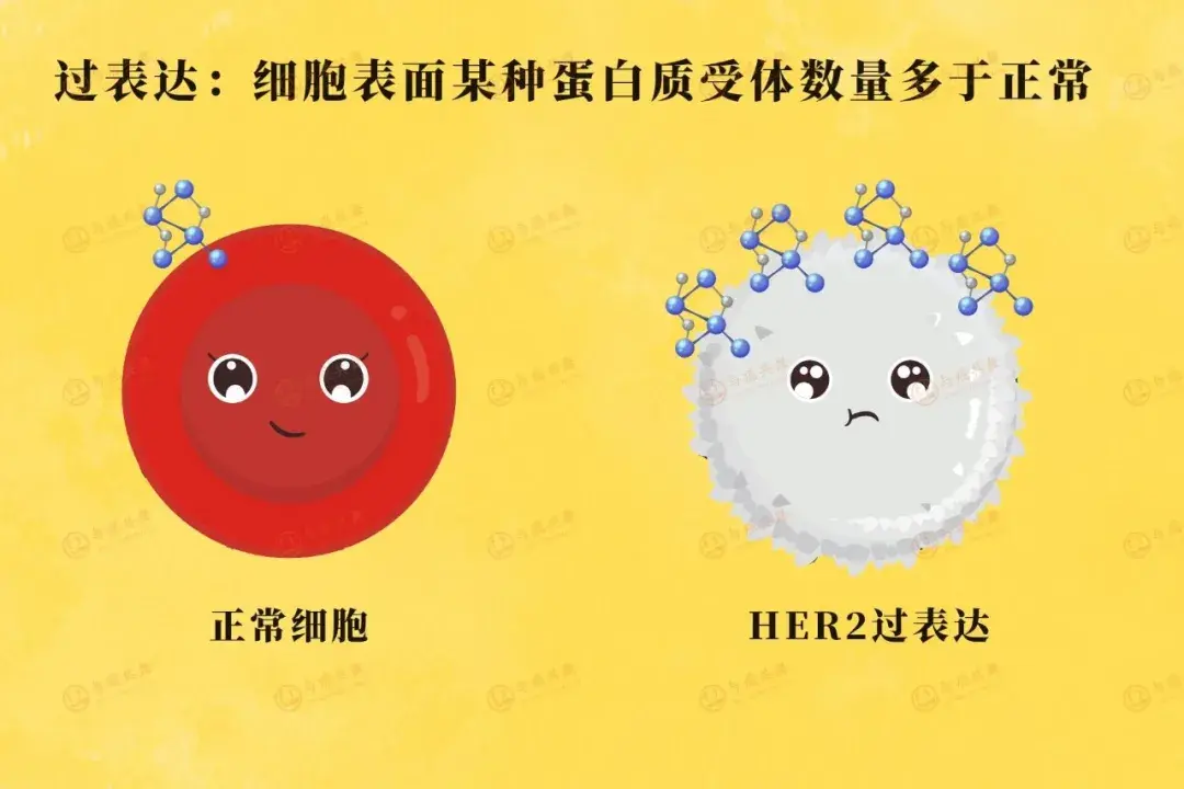 免疫组化要多少钱_免疫化组检查多少钱_免疫组化很贵吗