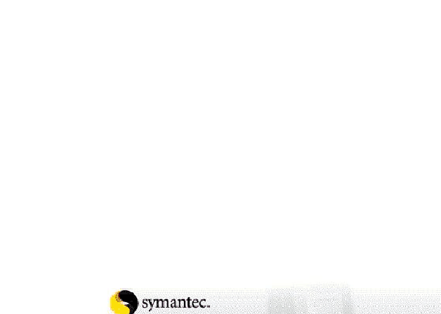 软件是什么_symantec是什么软件_软件是一种什么产品