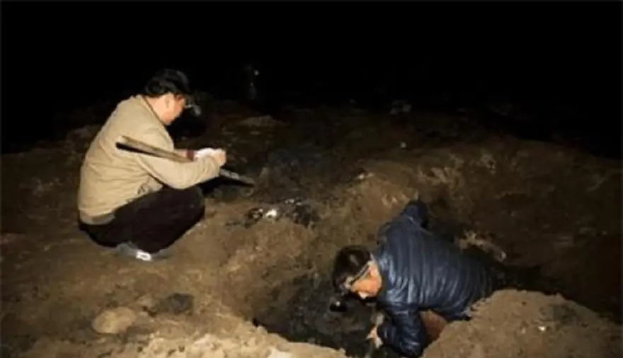 拾荒杰克内购_拾荒杰克无敌版_杰克无敌版拾荒者怎么打