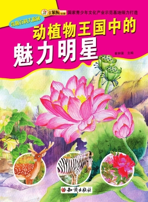 会命小石五属性_会命小石五10级属性_属性石头
