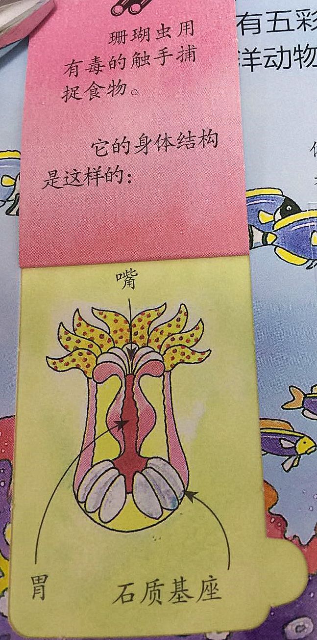 会命小石五10级属性_会命小石五属性_属性石头