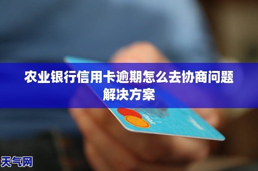 盗取农业银行卡的软件_农业盗取银行卡软件下载_农业盗取银行卡软件怎么办