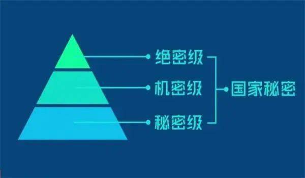 小黑蛇宠物_小黑蛇机制_小黑蛇出现是几级
