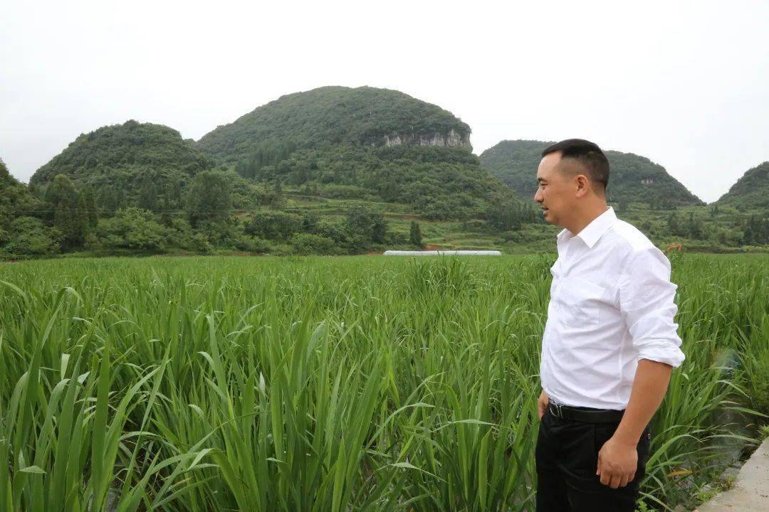 平民愤的成语_不足以平民愤_不杀不足以平民愤