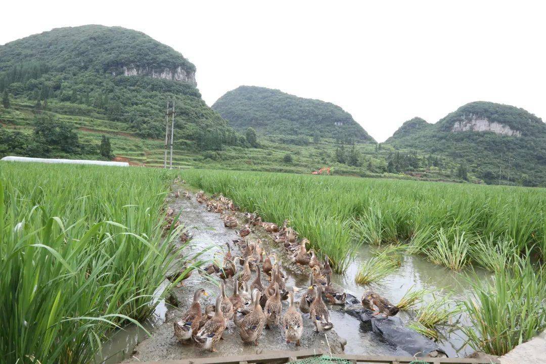 不足以平民愤_平民愤的成语_不杀不足以平民愤