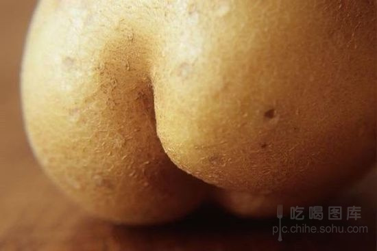 猴子请来的救兵mp3下载_猴子请来的救兵奇遇任务_你是猴子请来的救兵吗网盘