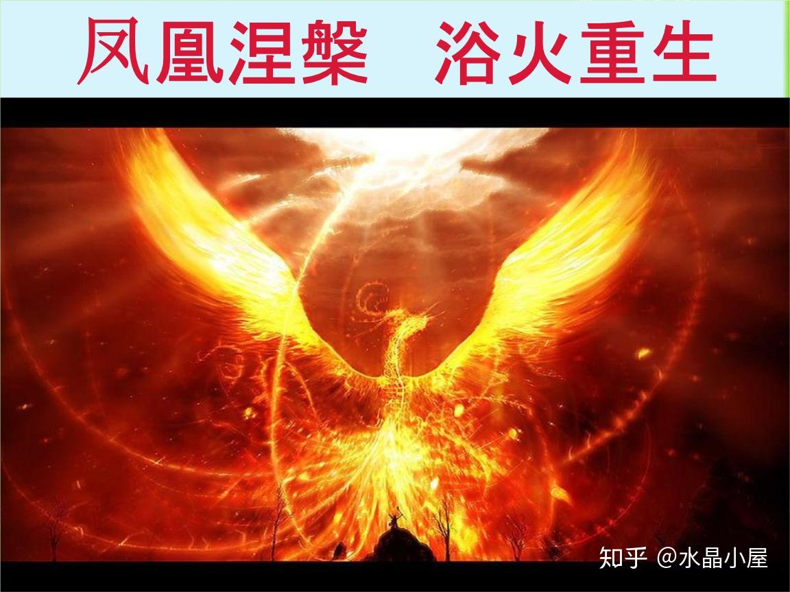 重生之箭伤精校版_重生之箭伤下载_重生之箭伤txt下载