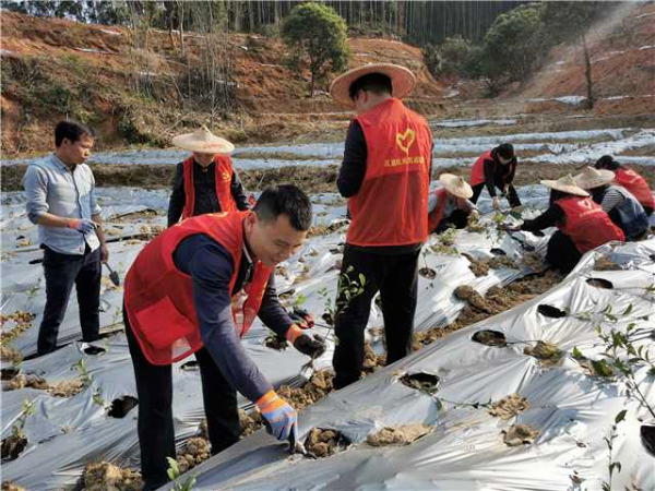 兵团时期_大兵团是什么时候_兵团什么时候成立的