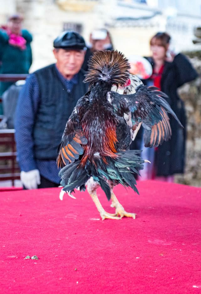末世之残酷游戏 燃文_残酷末世小说_末世之残酷游戏笔趣阁