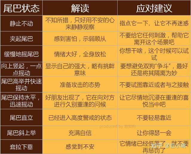 透视天堂镜网站打开得什么_为什么我得天堂透视镜网站打不开_透视天眼下载