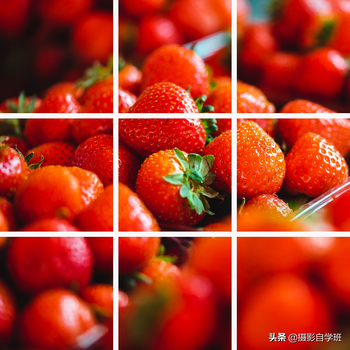 美图秀秀图片处理软件_免费下载秀秀美图_秀秀美图怎么抠图