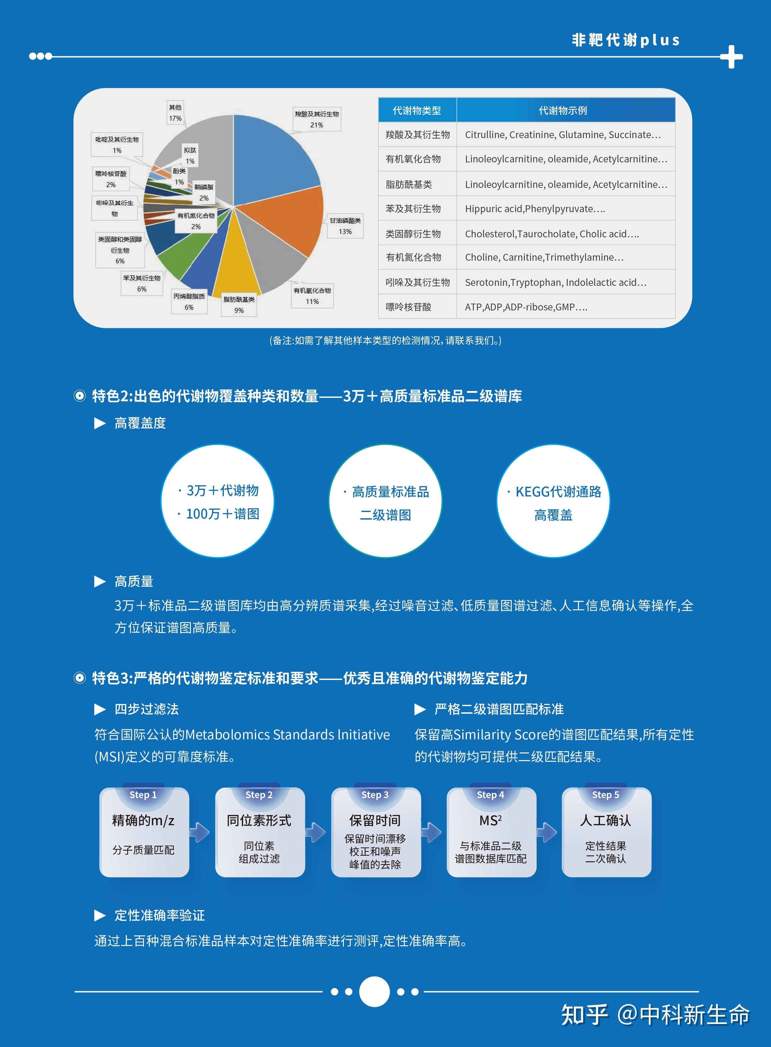 有关新年的文章-新年钟声敲响，梦想重新起航，迎接新的可能与希望