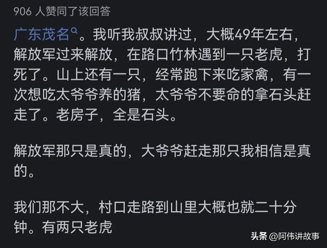 老虎过河游戏怎么玩_老虎过河智力题目_三个人三只老虎过河