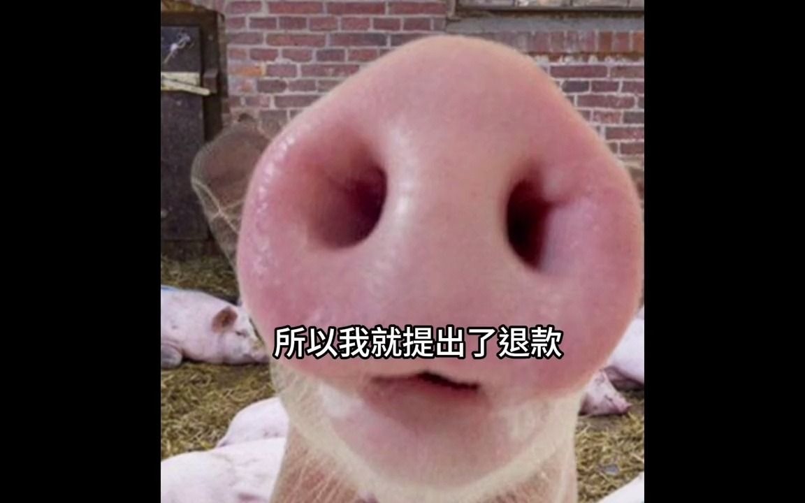 掠夺者号拼装玩具启蒙_掠夺者号拼装玩具启蒙_掠夺者号拼装玩具启蒙