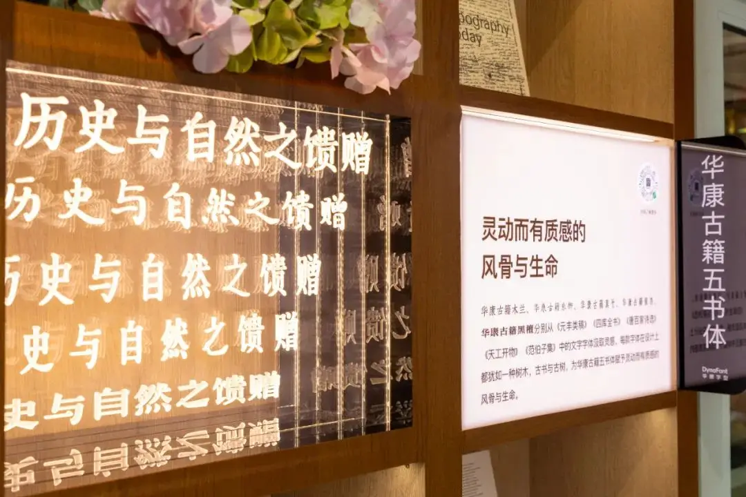 页面升级中狼新_页面升级中狼新_页面升级中狼新