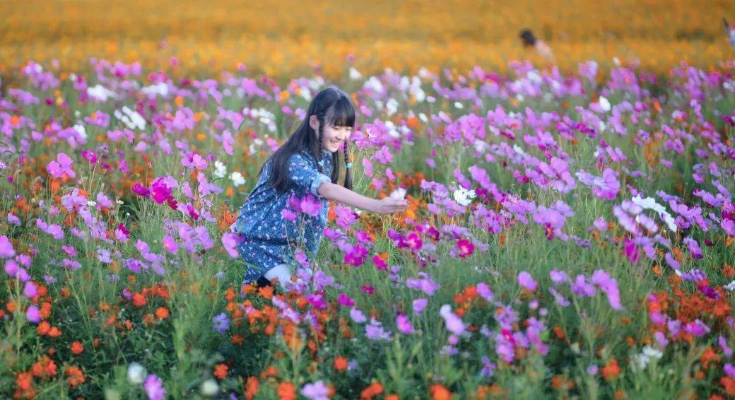 帝国升级系统小说_帝国规模怎么提升_帝国ol40级之后哪里升级