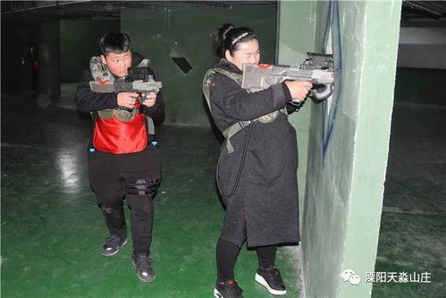真人多人游戏,真人多人游戏巅峰对决
